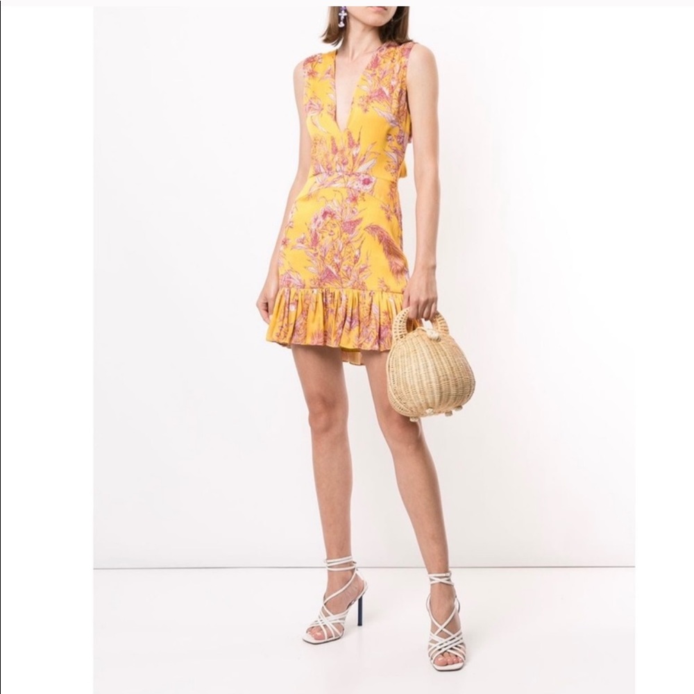 Alexis Cassandra Dress